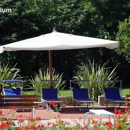 A Point Arezzo Park